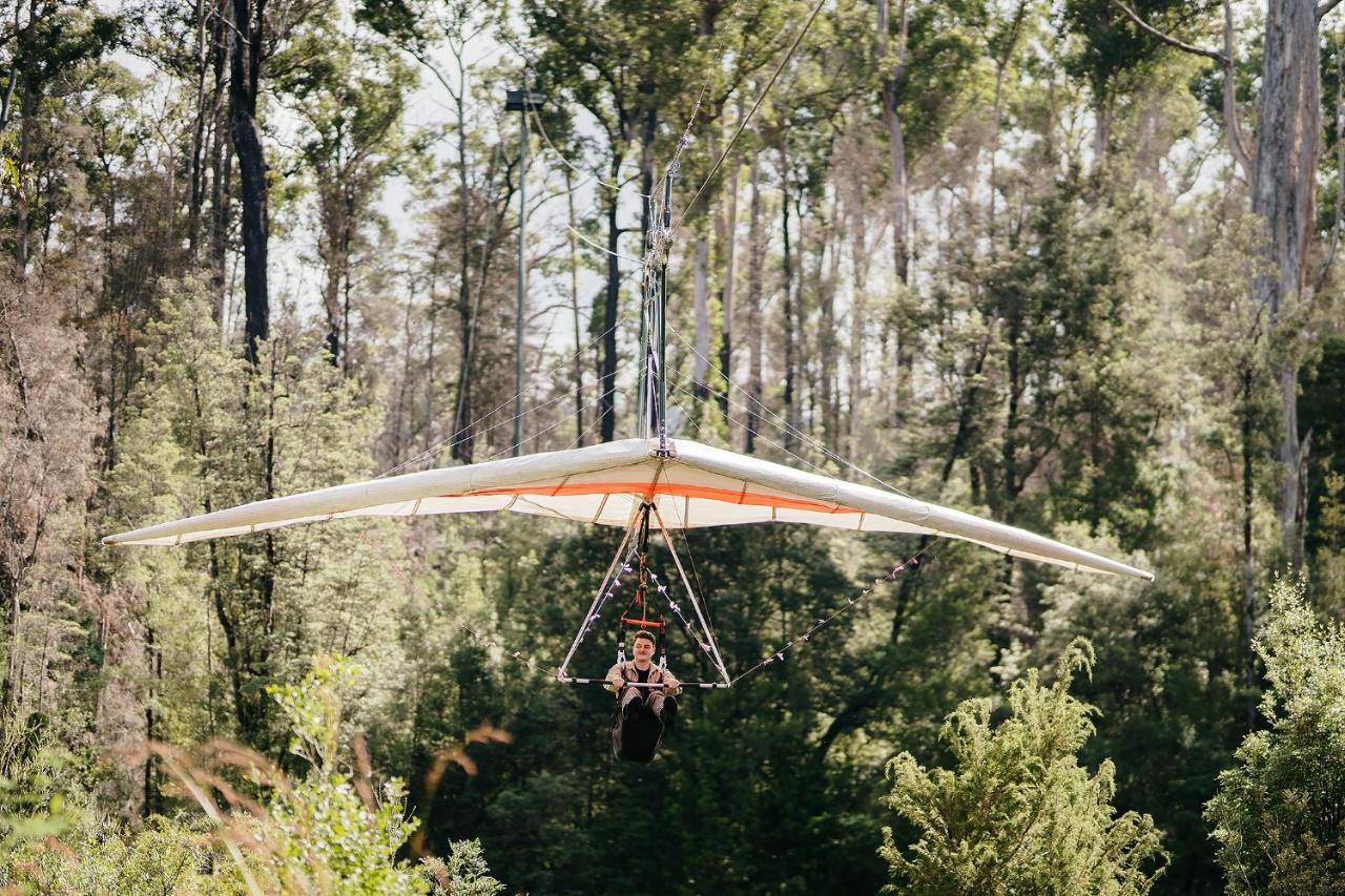 ג'יווסטון Tahune Airwalk Cabin And Lodge מראה חיצוני תמונה